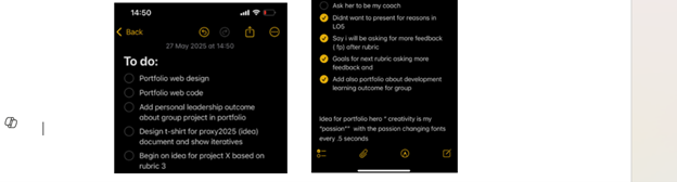 Another project screenshot 1